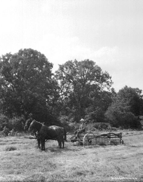 View across field towards a man on a horse-drawn side rake in a field.
