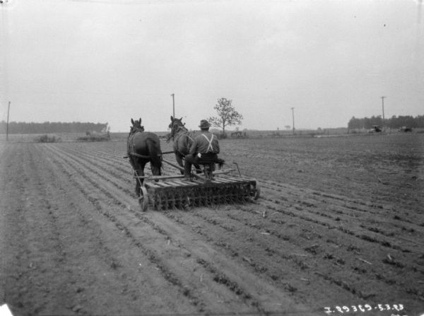 Rear view of a man using a horse-drawn rotary hoe in a field.