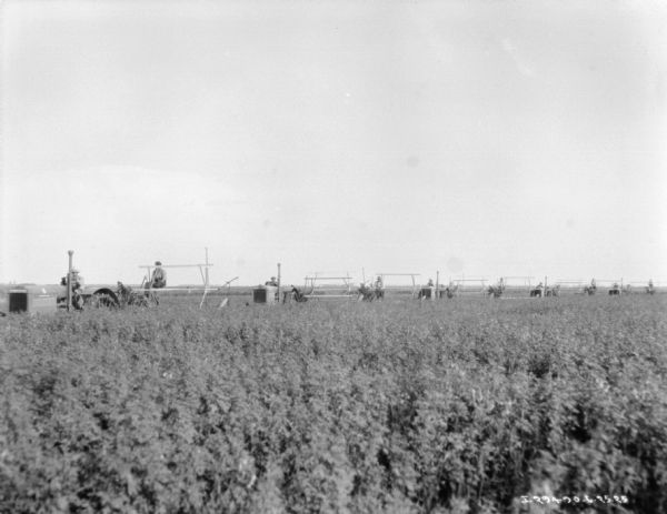 View across field towards a line of eight or nine men driving binders, each drawn by a tractor.