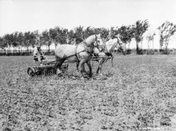 Man on a horse-drawn rotary hoe in a field.