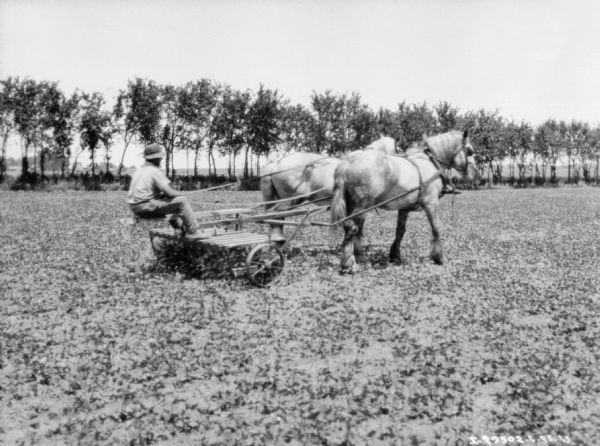 Right side view of a man on a horse-drawn rotary hoe in a field.