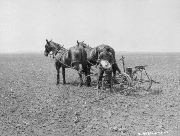 A man standing in a field is filling up the planter that is being pulled by a team of two horses.