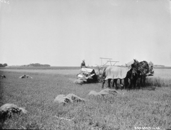View across field towards a man using a horse-drawn binder in a field. The horse on the end is wearing a blanket. There are piles of harvested grain in the field.