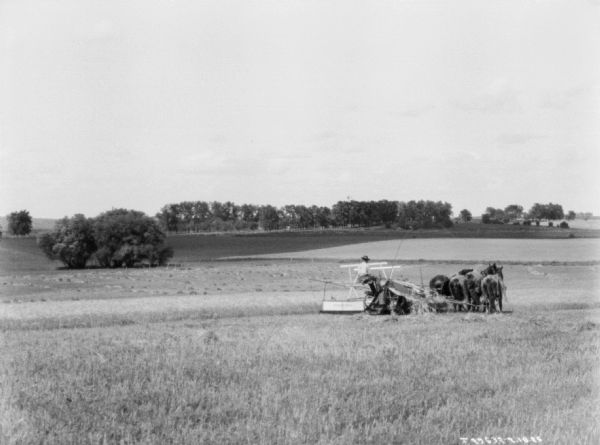 View down slope towards a man using a horse-drawn binder in a field.