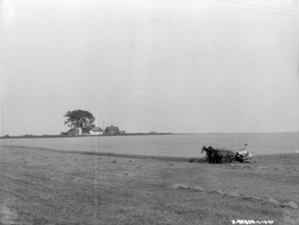 Slightly elevated view of a man using a horse-drawn binder in field. Farm buildings are in the far distance across the field.