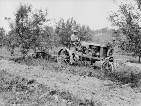 A man is driving a Farmall tractor to pull a disk harrow in an orchard.