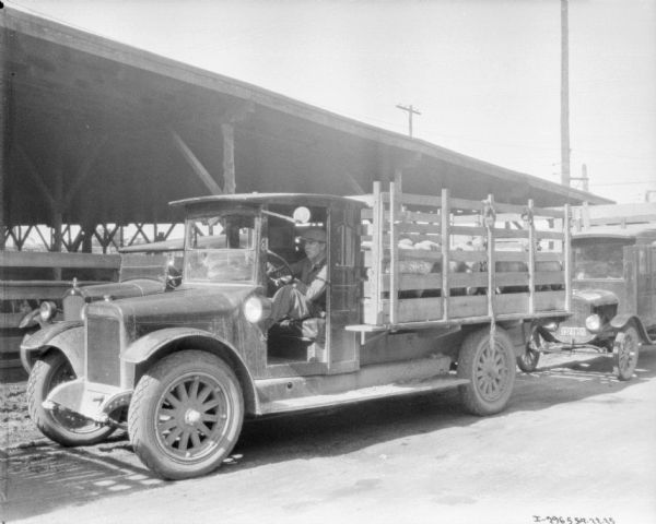 A man is driving a truck with sheep in the truck bed, which has a stake body. There is no driver's side door. Behind and above the truck is what may be a raised highway. There are trucks in the background.