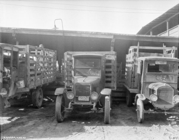 View towards the front of three trucks parked alongside each other, all with stake bodies. The trucks are backed up to an open-sided building with a fence at the front. Probably a structure for loading and unloading livestock. A man is standing in the truck bed of the truck on the left.