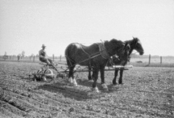 Right side view of a man riding a horse-drawn walking plow in a field. Fences are in the background.