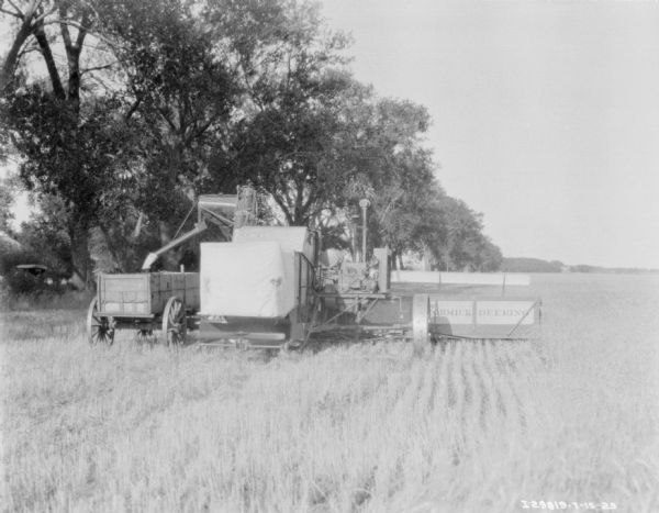 Rear view of a wagon on the left side of a McCormick-Deering harvester thresher in a field. 
