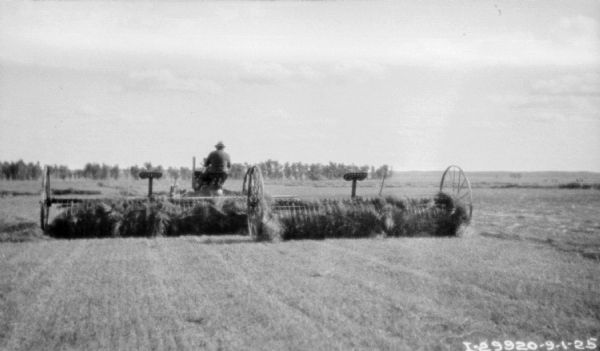 Rear view across field towards a man driving a Farmall tractor pulling two dump rakes.