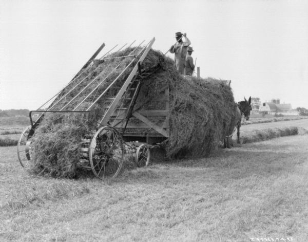 Three-quarter view from right rear of two men using a hay loader to fill a horse-drawn wagon. In the distance are farm buildings.
