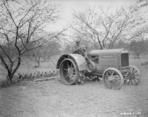 Three-quarter view from front right of a man driving a McCormick-Deering tractor pulling a disk harrow in an orchard.