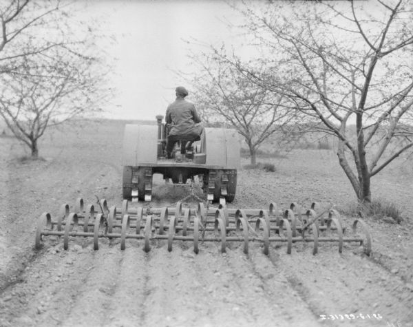 Rear view of a man driving a McCormick-Deering tractor pulling a disk harrow in an orchard.