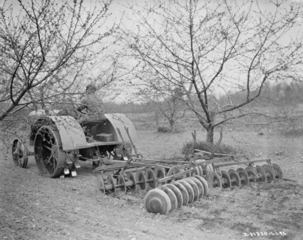 Three-quarter view from left rear of a man driving a McCormick-Deering tractor pulling a disk harrow in an orchard.