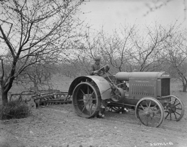 Three-quarter view from front right of a man driving a McCormick-Deering tractor harrowing in an orchard.