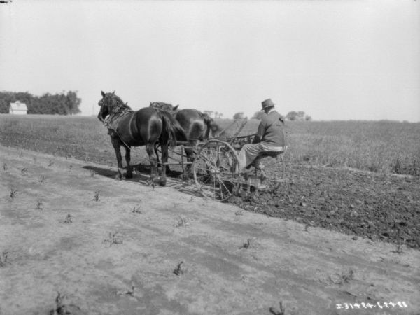 Man Cultivating Field with Horse-Drawn Cultivator | Photograph ...