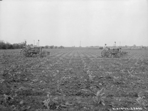 View across field towards two men with Farmall tractors cultivating a cornfield.