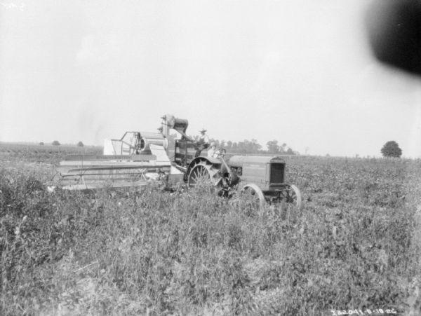 View across field towards a woman driving a tractor pulling a man sitting on a McCormick-Deering harvester thresher.
