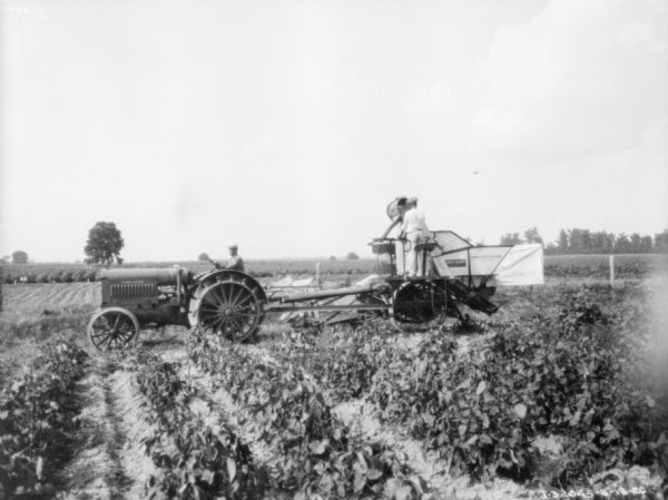 Left side view across field towards a man driving a Farmall tractor pulling a harvester thresher. One man is standing on the harvester thresher.