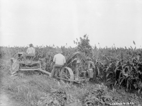 Three-quarter view from left rear of a man driving a Farmall tractor pulling a man sitting on a corn binder.