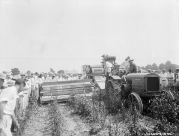 View from front of a man driving a McCormick-Deering tractor pulling a harvester thresher in a field. A large group of men are lined up in the field along the left, and just behind the harvester thresher, watching the demonstration.
