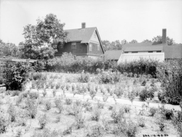 View across garden towards shrubs and trees around a large, wood sided house, and farm buildings.