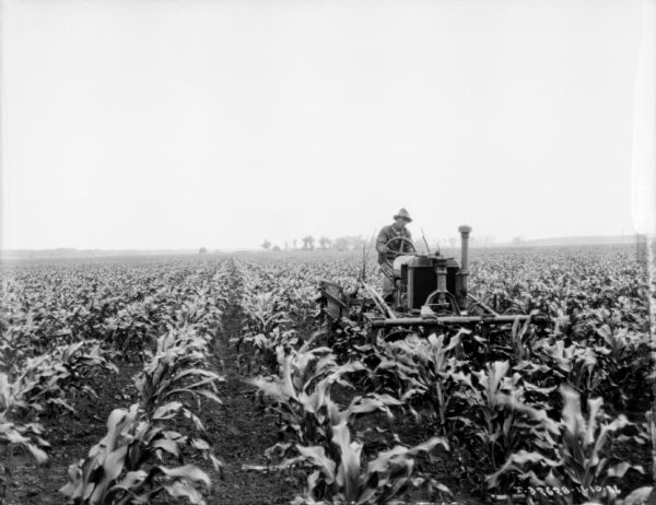 View from front of a man driving a Farmall tractor pulling a cultivator in a cornfield.