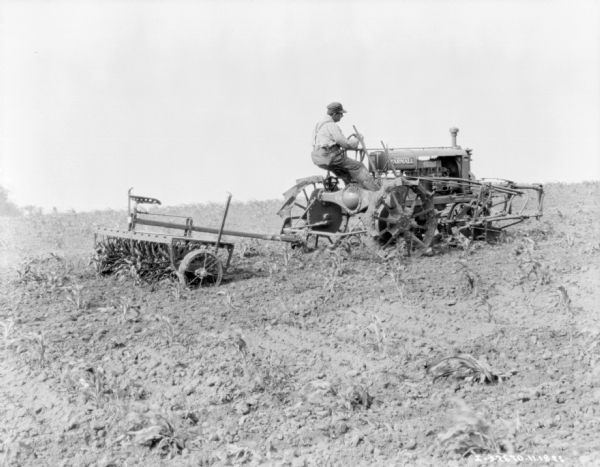 Man on Farmall tractor pulling a drawing rotary hoe mounted with cultivator in a corn field.
