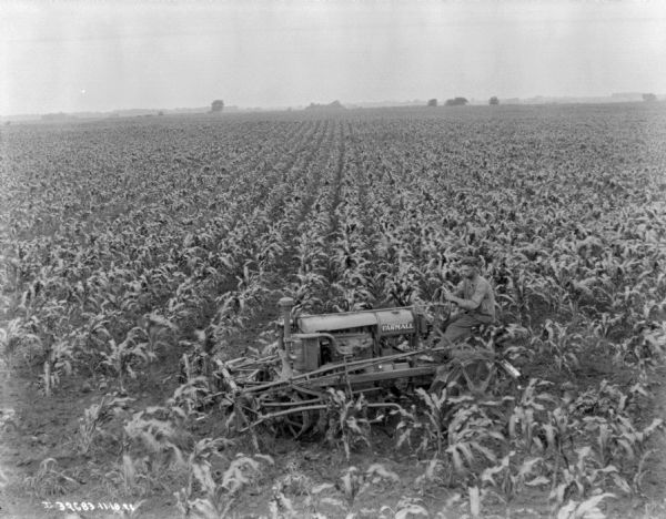 Elevated left side view of a man driving a Farmall tractor pulling a cultivator.