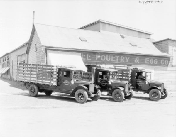 Three men are sitting in the cab of three delivery trucks which are parked at an angle in front of the Grinnell Poulty & Egg Co.