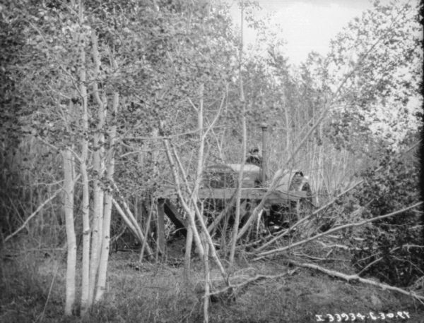 View through trees towards a man driving a Titan 15-30 McCormick-Deering tractor for knocking down trees with a wood frame attached to the front for knocking down trees.