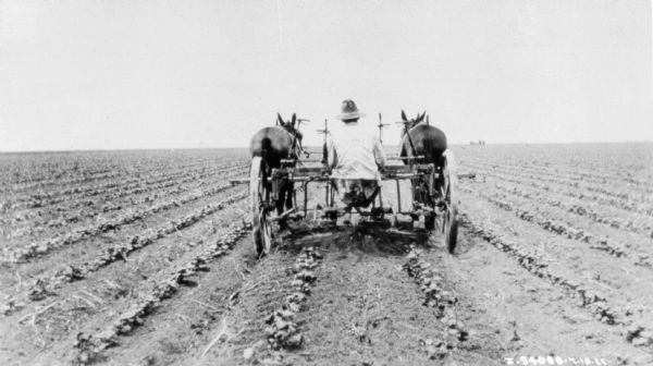 Rear view of a man driving a horse-drawn planter in a field.