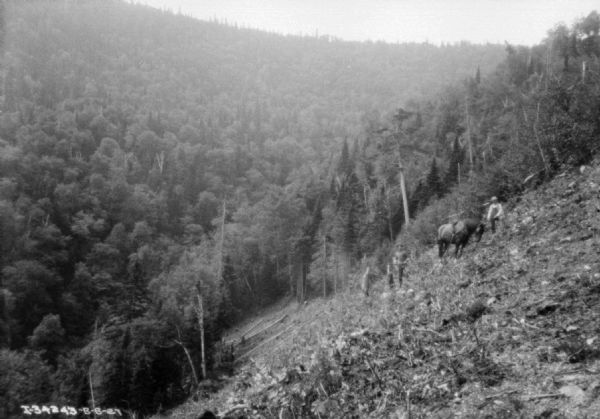 View down steep hillside, a section of which appears to be recently cleared. Two men are standing near a horse, halfway down the hill in the cleared area. More hills, heavily forested, are in the background.