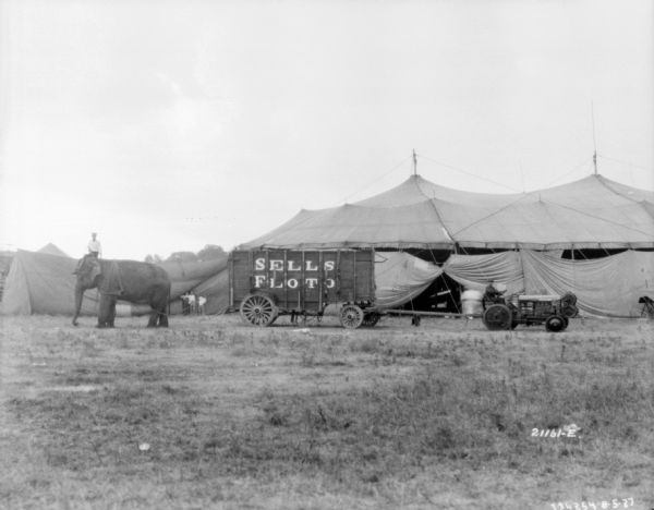 View across field towards a man sitting on an elephant on the left, and a man sitting on a tractor on the right pulling a wagon. The elephant is hitched to the back of the wagon. The sign on the wagon reads: "Sells-Floto Circus."
