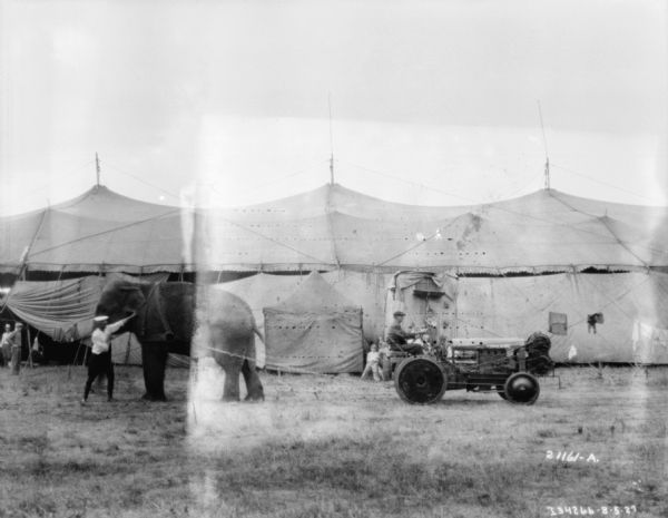 View across grounds towards a man on a tractor on the right, and a man with an elephant on the left. The elephant is hitched to the back of the tractor with a chain, and appears to be pulling against the tractor. Children are standing by tents in the background.