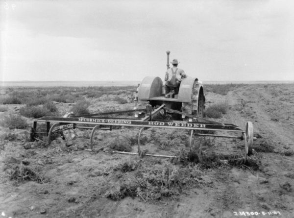 Rear view of a man driving a tractor to pull a McCormick-Deering Rod Weeder in a field.