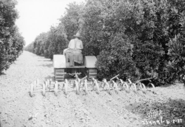 Rear view of a man driving a tractor pulling a spring tooth harrow.