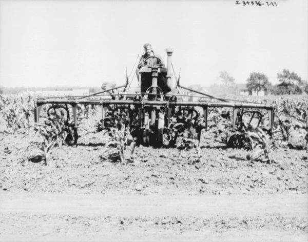 View from front of a man driving a Farmall tractor with a cultivator in a cornfield. Buildings and trees are in the background on the right.