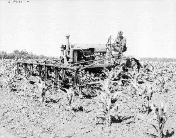 Three-quarter view from front left of a man driving a Farmall tractor with a cultivator in a cornfield.