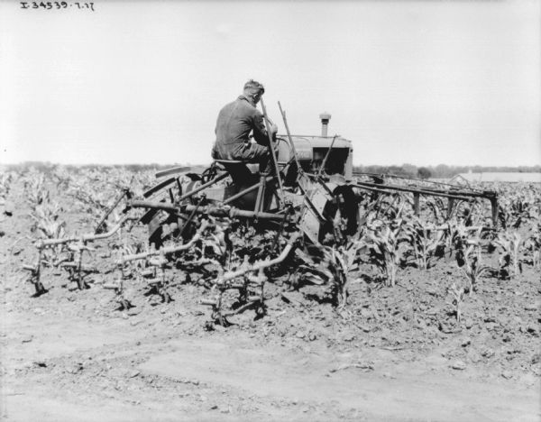 Three-quarter view from right rear of a man driving a Farmall tractor with a cultivator in a cornfield.