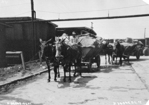 Men are driving mule wagons loaded with supplies. Buildings are in the background.