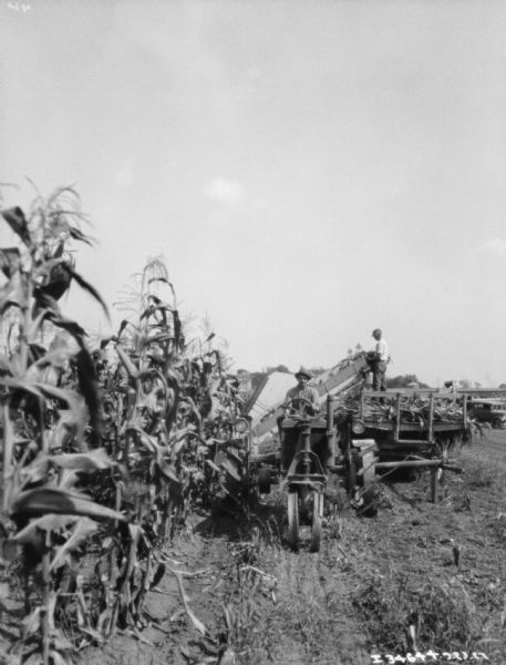 View from front of a tractor pulling a corn picker in a cornfield. A man is driving the tractor, and another man is standing on a wagon, unloading the corn picker. There is an automobile parked in the background on the right.