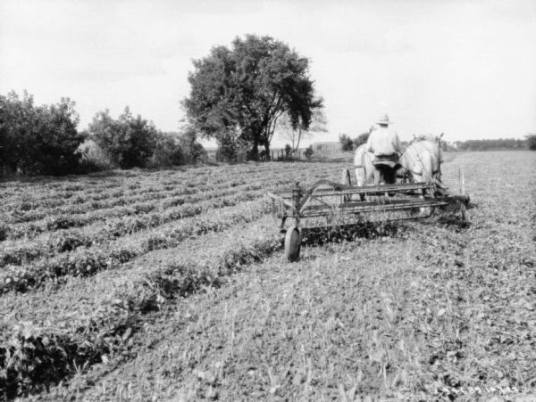 Horse-Drawn Side Rake | Photograph | Wisconsin Historical Society