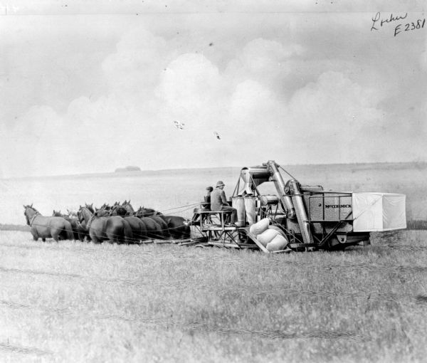 HorseDrawn HarvesterThresher Working in Field Photograph Wisconsin Historical Society