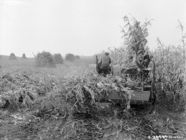 Rear view of a man driving a tractor-drawn corn binder.