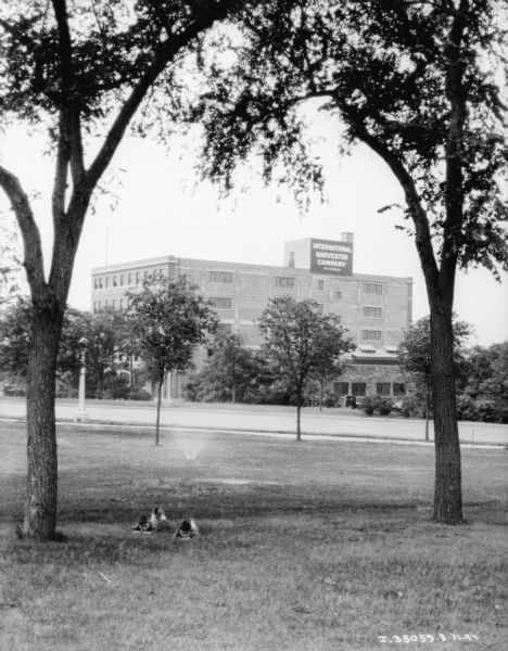 In the foreground, two boys are lying in the grass near a tree. Behind them is a sprinkler watering the grass. In the background across a road is the International Harvester Company plant building.