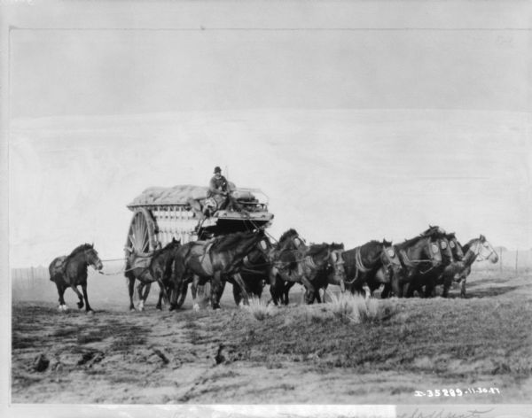 A man is sitting on top of a tall wagon, pulled by a large team of horses.