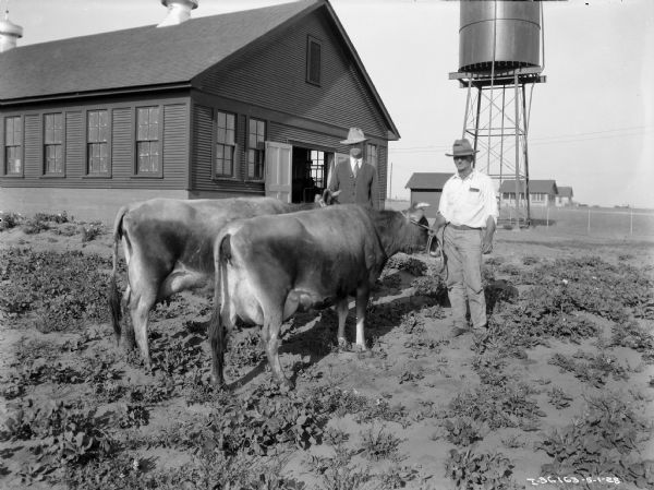 Two men are standing in a field with two cows. There is a barn behind them on the left, and in the background are buildings, a fence, and a water tower.