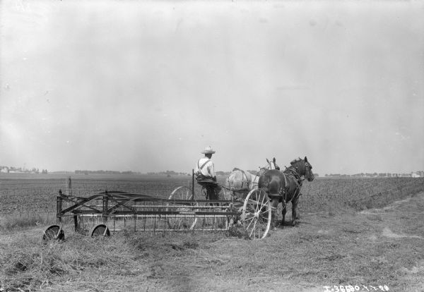 Three-quarter view from right rear of a man on a horse-drawn side rake.